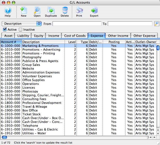 Chart Of Accounts Website Expenses